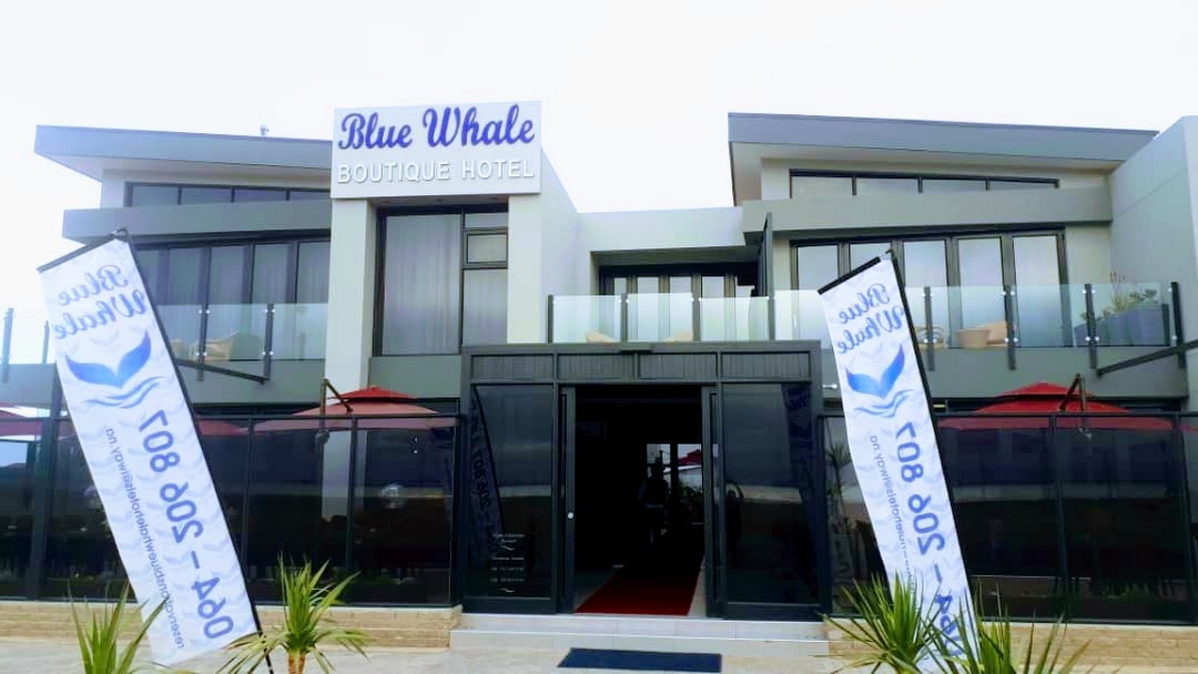 Featured image for “Joining CiMSO’s family – Blue Whale Boutique Hotel”