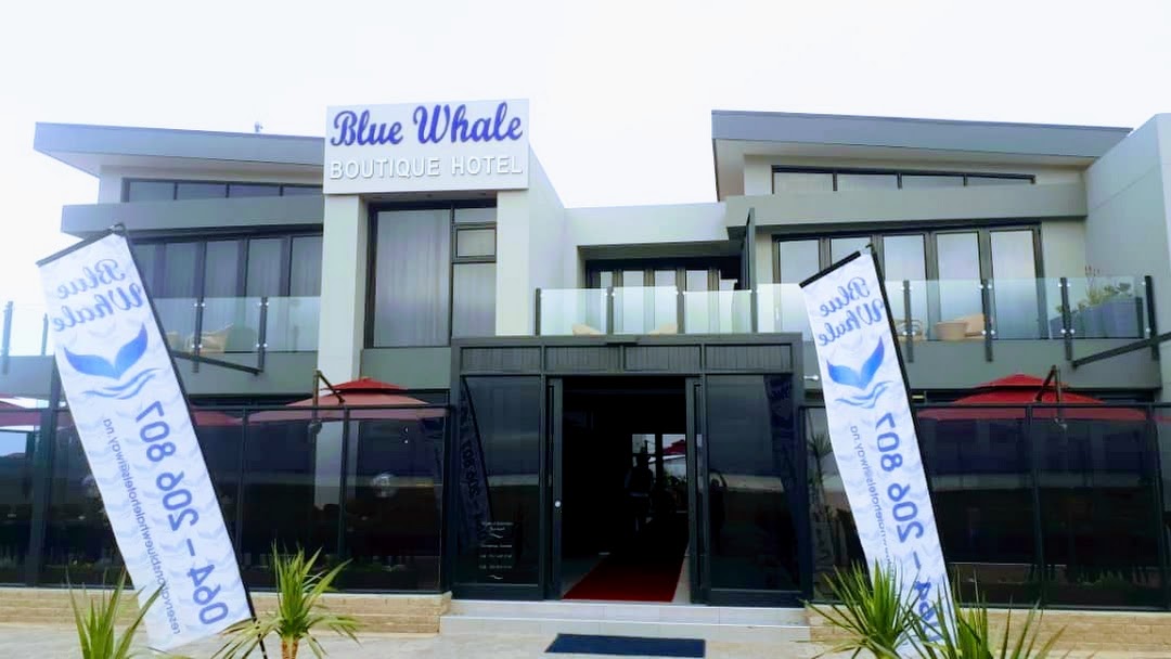 blue whale boutique hotel