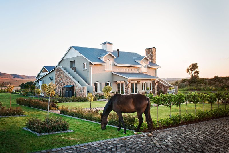 dunkeld country & equestrian estate