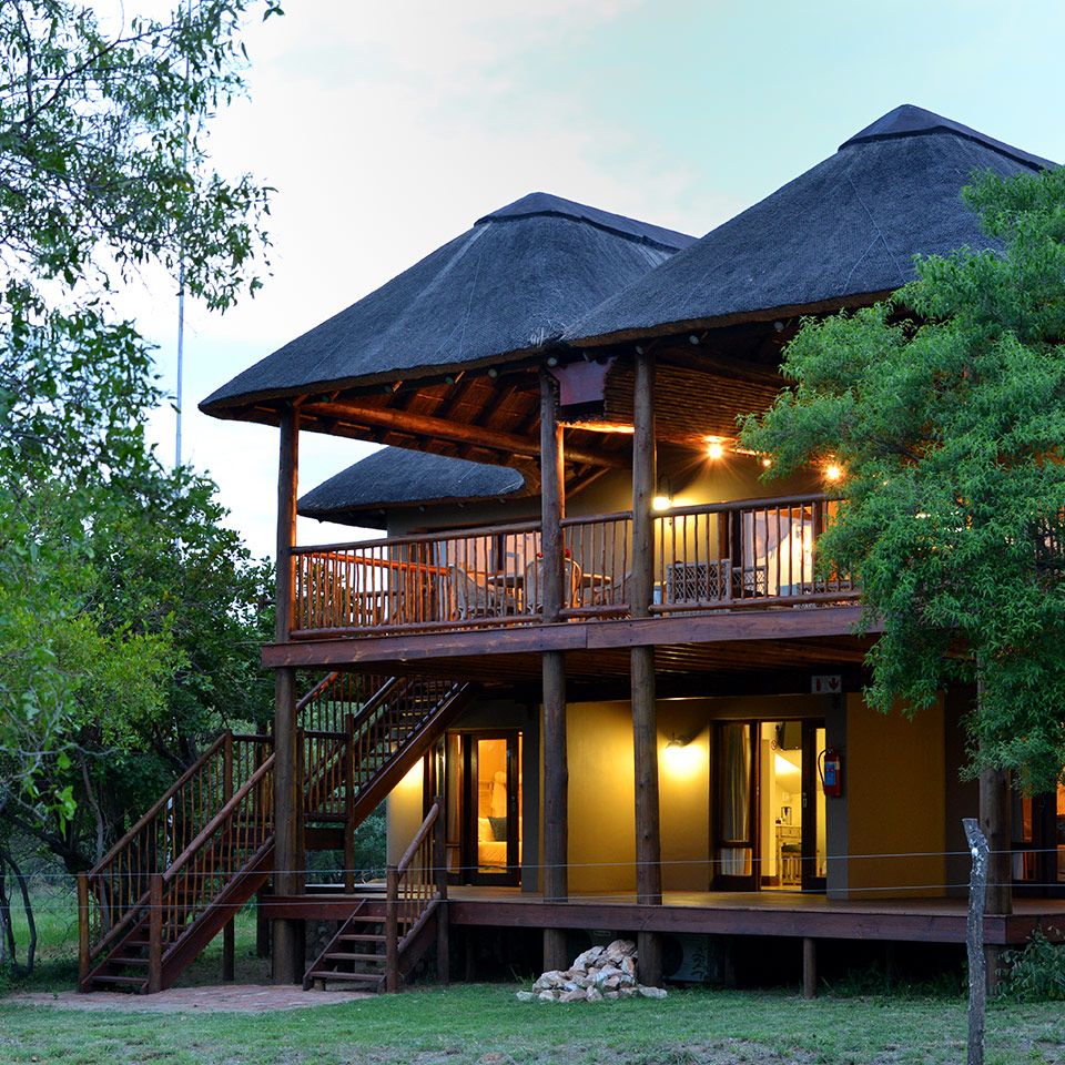 Featured image for “Joining CiMSO’s family – Mabula Game Reserve”