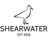 Shearwater on Sea