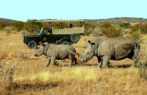 Featured image for “Ongava Game Reserve selects CiMSO INNkeeper software”