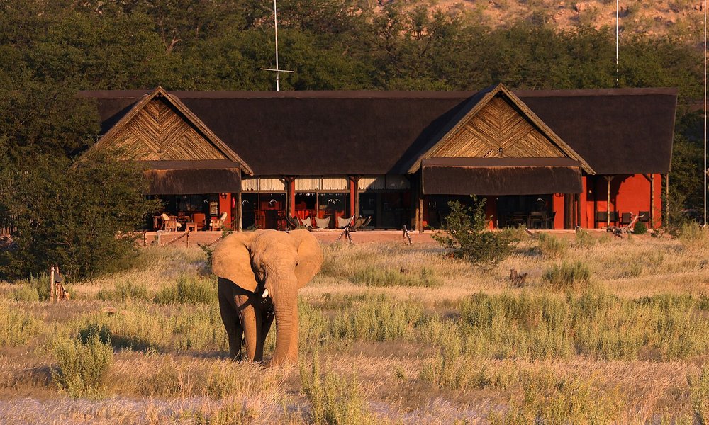 Featured image for “Hobatere Lodge chose CiMSO INNkeeper Software”