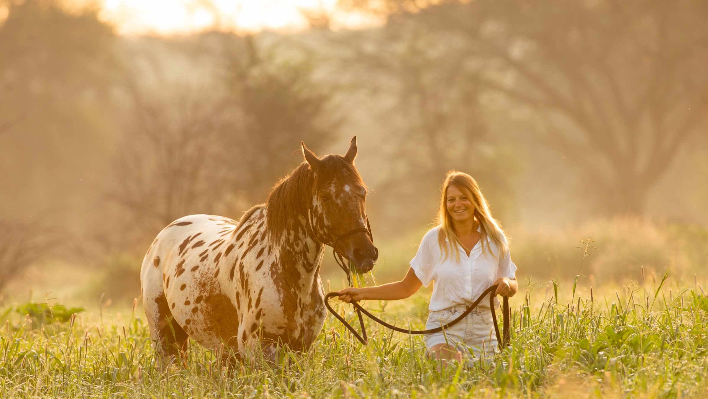 Featured image for “Enhancing Hospitality Excellence: Sandwerf Retreat and Stud Farm Embraces CiMSO Software Suite”