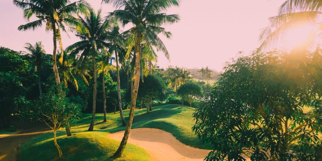 Golf Connectivity