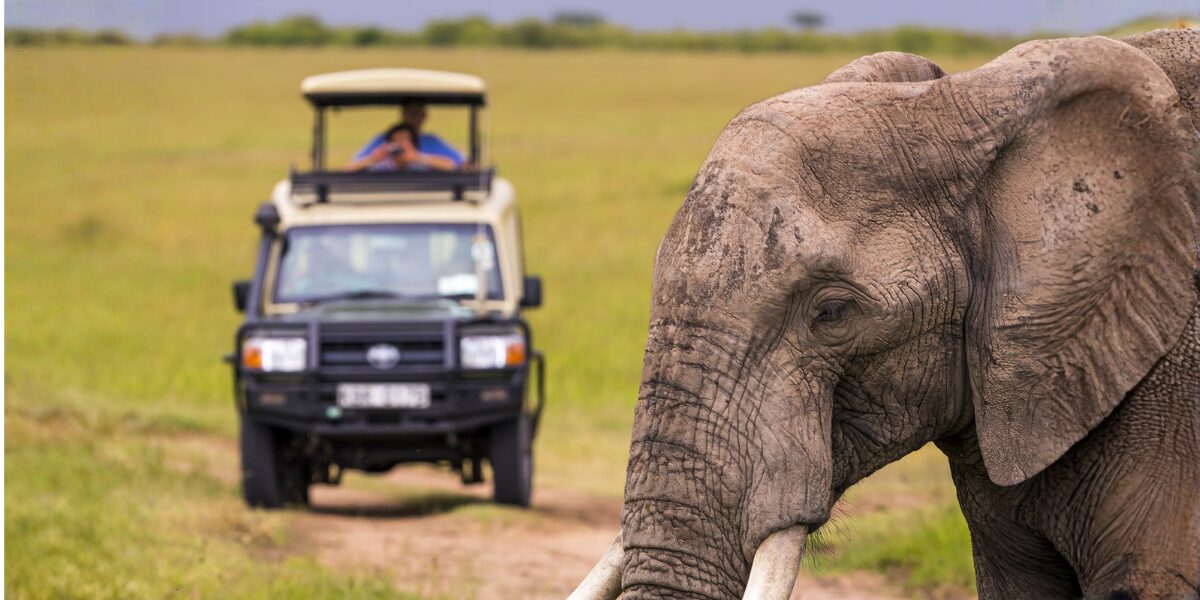 Featured image for “Integrated Activity Scheduling with CiMSO”