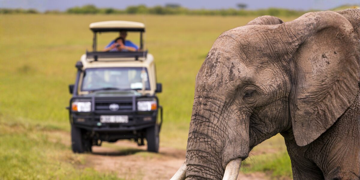 Featured image for “Integrated Activity Scheduling with CiMSO”