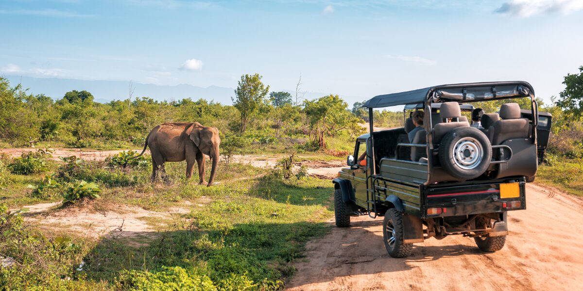 Featured image for “Streamlining Activity Scheduling and Guest Experiences”